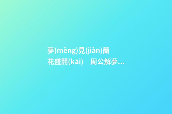 夢(mèng)見(jiàn)蘭花盛開(kāi)　周公解夢(mèng)之夢(mèng)到蘭花盛開(kāi)